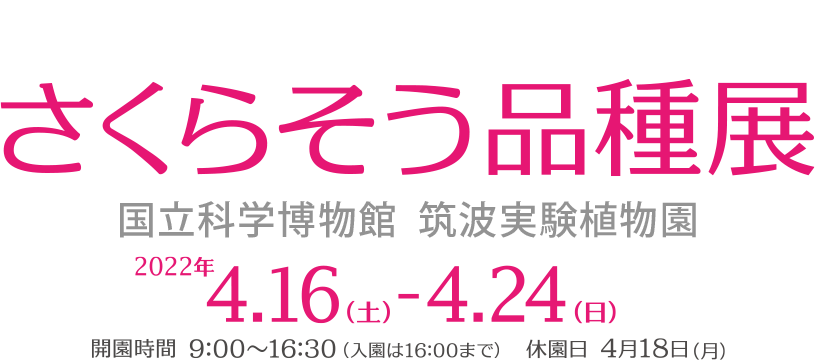 コレクション特別公開 さくらそう品種展2022 国立科学博物館　筑波実験植物園　2022年4月16日（土）～4月24日（日）休園日4月18日（月）
