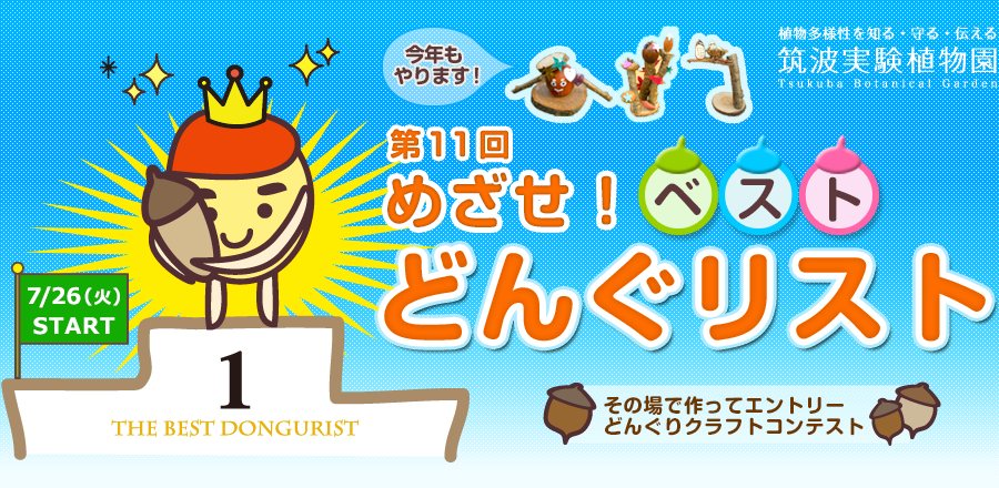 第11回　めざせ！ベストどんぐリスト2022 - 筑波実験植物園
