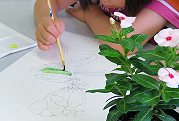 植物画講座過去の様子