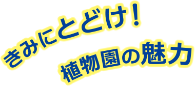 きみにとどけ！植物園の魅力