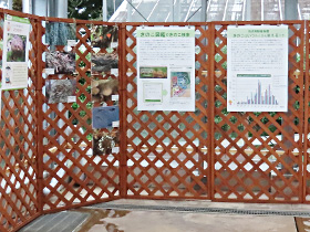 研究展示の様子