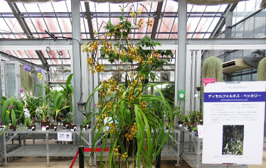 多目的温室の様子