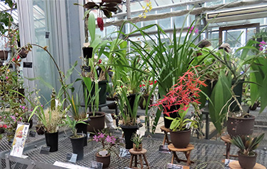 多目的温室の様子