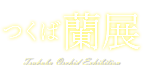 つくば蘭展　国立科学博物館　筑波実験植物園　会期：2023年1月22日～1月29日　会期中毎日開園