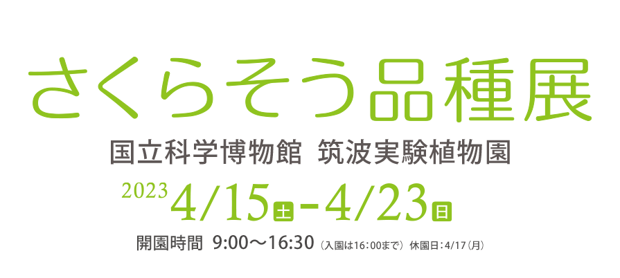 コレクション特別公開 さくらそう品種展2023 国立科学博物館　筑波実験植物園　2022年4月15日（土）～4月23日（日）休園日4月17日（月）