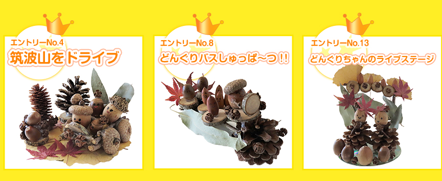 ベストどんぐリスト