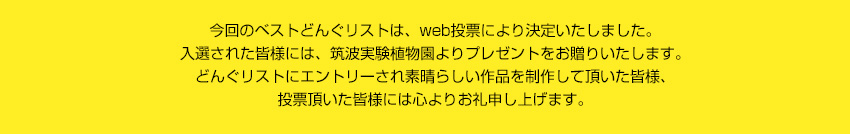 来園者の皆さまとウェブでの投票数にて、ベストどんぐリストが決定いたしました。入選された皆さまには、筑波実験植物園よりプレゼントをお贈りいたします。どんぐりストにエントリーされ素晴らしい作品を制作していただいた皆様、投票いただいた皆様には心よりお礼申し上げます。