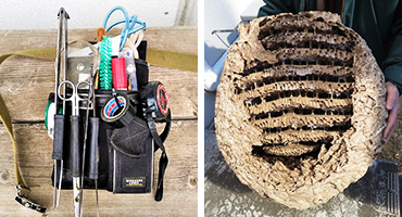 道具とハチの巣の画像