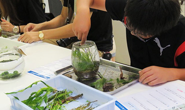 アクアリウム作りの様子