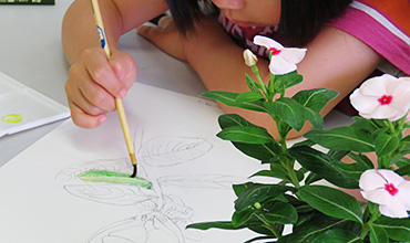 植物画の描き方講座過去の様子