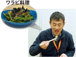 ワラビ料理　シダを食す園長