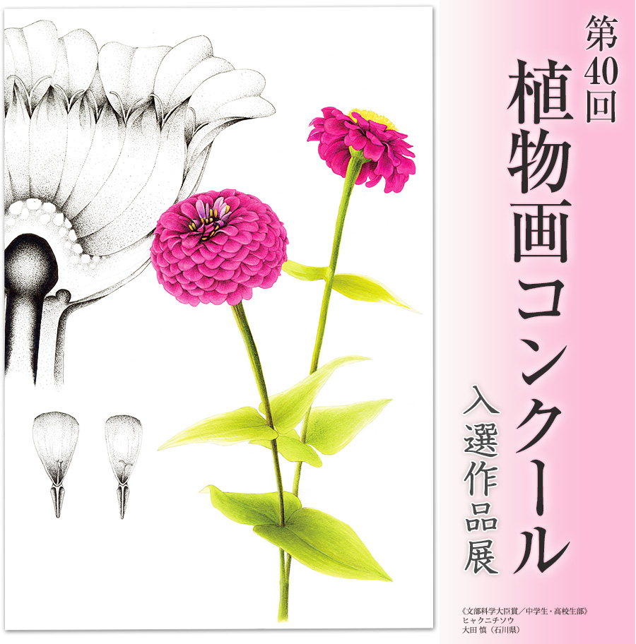 植物画コンクール入選作品展