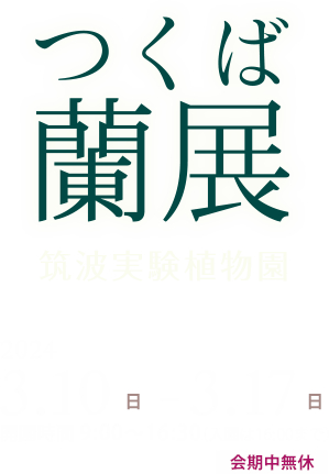 つくば蘭展　国立科学博物館　筑波実験植物園　会期：2024年3月10日(日)から3月17日(日)までの8日間　会期中毎日開園