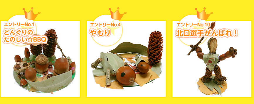 第13回ベストどんぐリスト