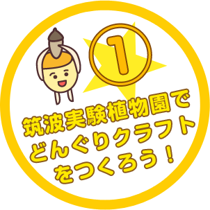 筑波実験植物園でどんぐりクラフトをつくろう!