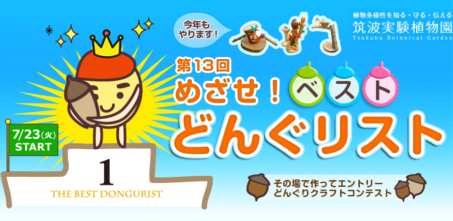 第13回　めざせ！ベストどんぐリスト2024 - 筑波実験植物園