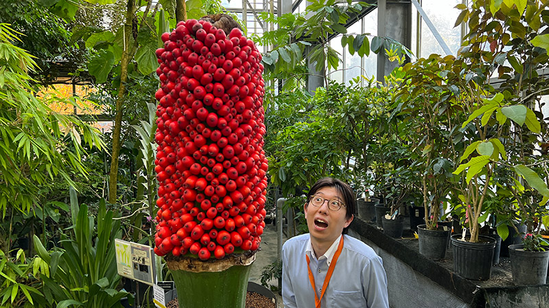 サイエンスを伝える