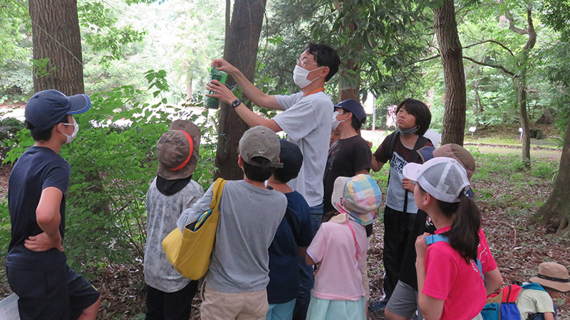 植物園で昆虫を探そう