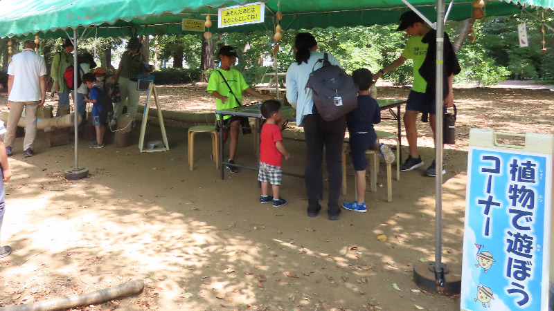 植物で遊ぼうコーナー