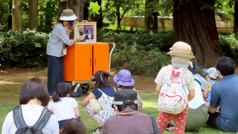 登場！植物紙芝居