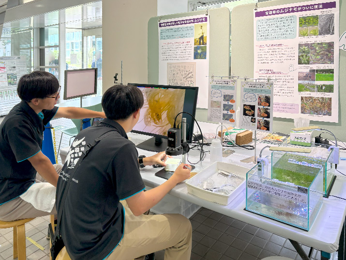 「食虫水草ムジナモ・タヌキモにエサをあげよう」