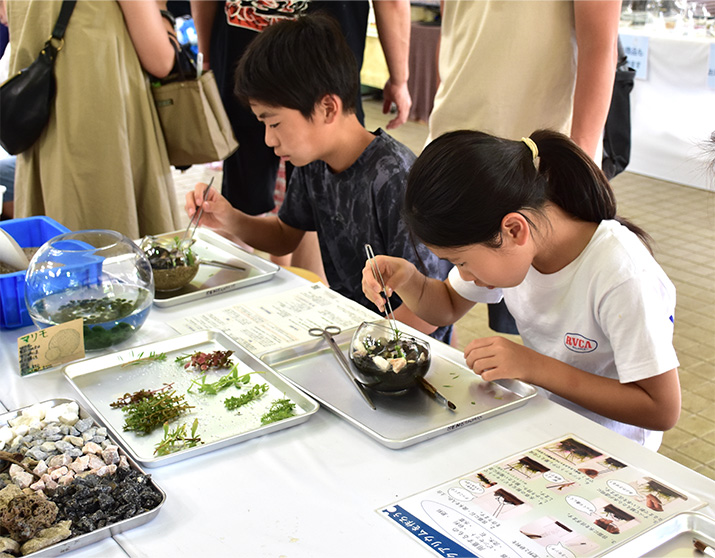 「自分だけのアクアリウムをつくろう」体験コーナーの様子
