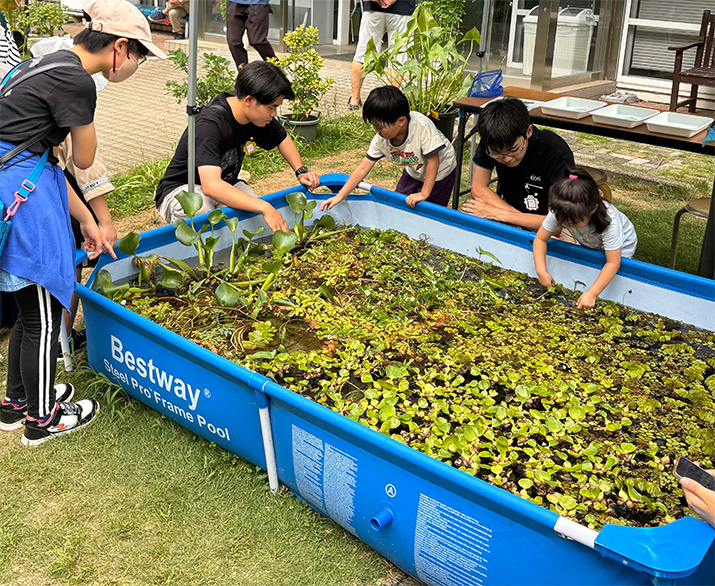 水草タッチプール