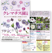 ちらしダウンロード