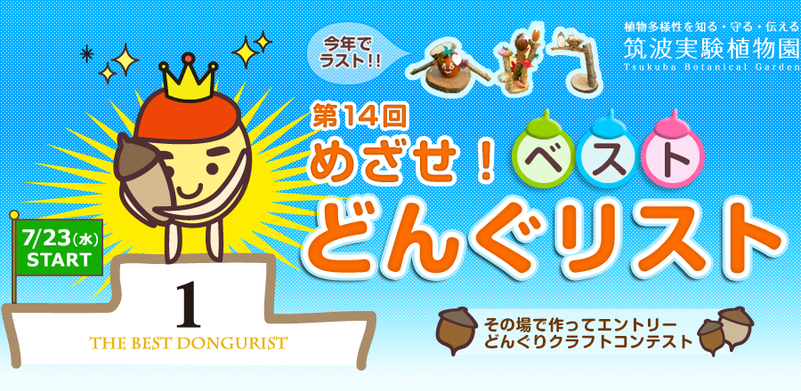 第14回　めざせ！ベストどんぐリスト2025 - 筑波実験植物園