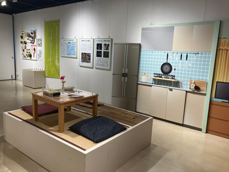 日本の食卓の風景