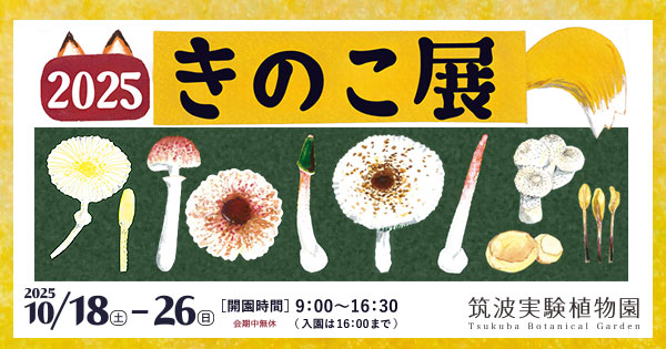 きのこ展2025 ～名前にまつわるミステリー～ :: 筑波実験植物園