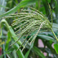 �e�I�V���g�̗Y��i�Y�ԁj