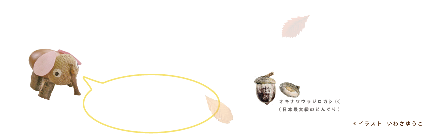 フッターイメージ画像