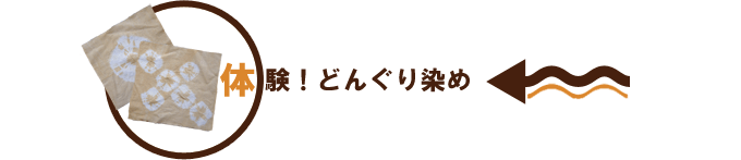 Event3：体験！どんぐり染め
