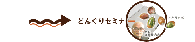 Event4：どんぐりセミナー