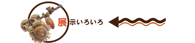 Event5：展示いろいろ