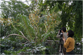 �O���}�g�t�B�����E�X�y�L�I�X���͐l�̔w����͂邩�ɉz����Ԍs��L�΂��܂�