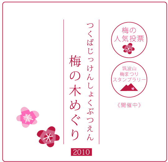 ���΂������񂵂傭�Ԃ���~�̖؂߂���