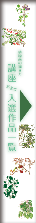 ボタン：「植物画の描き方講座および入選作品一覧」へ