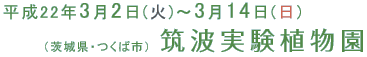 開催期間：平成22年3月2日(火曜)～3月14日(日)　筑波実験植物園（つくば植物園　茨城県・つくば市）