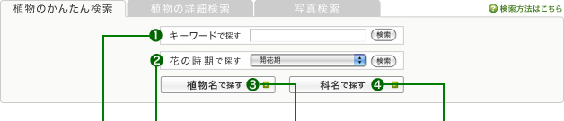 簡易検索