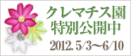 クレマチス園特別公開中